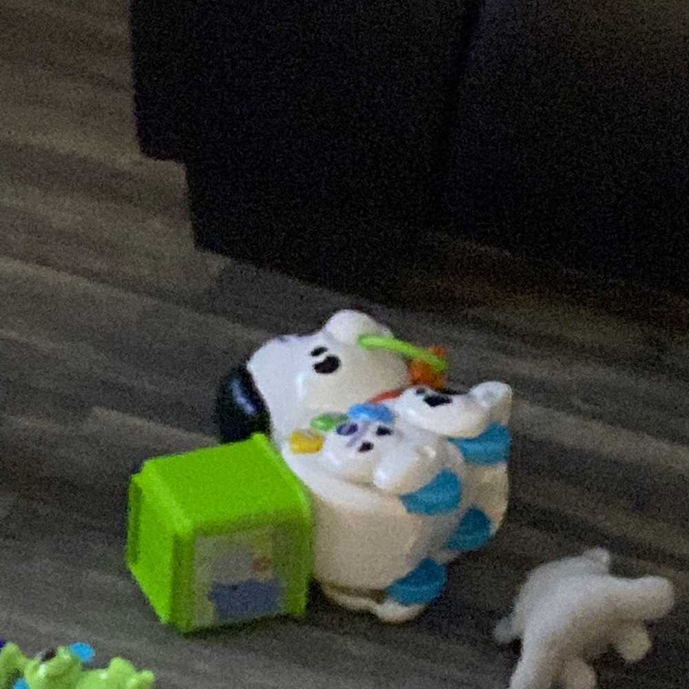 dog toy